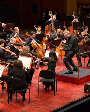 Salute to Vienna New Year’s Concert
