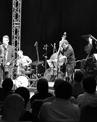 Live concert by Don Was and The Pan Detroit Ensemble