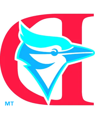 Dunedin Blue Jays vs. Lakeland Flying Tigers